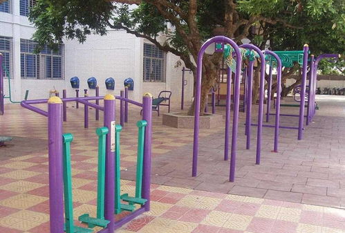 全民健身新风尚 室外健身器材的多元价值与使用指南