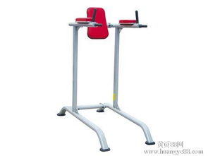 【广州运动器材厂健身器材单双杠】_